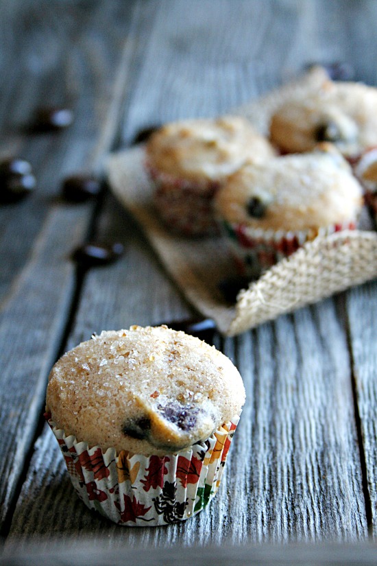 Chocolate Cranberry mini Muffins