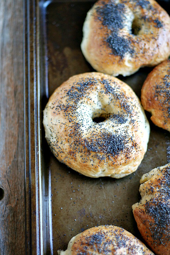 lemon poppy seed bagels