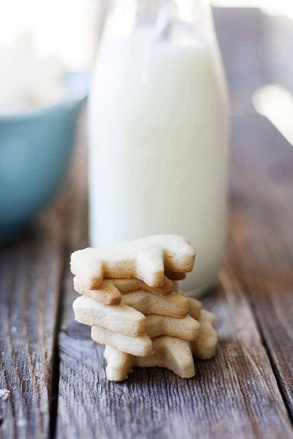 homemade animal crackers