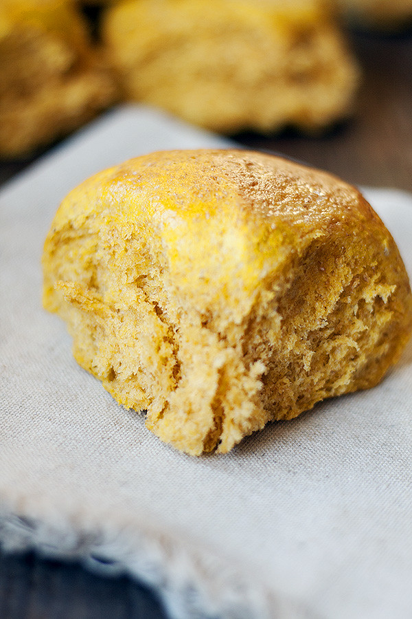 pumpkin wheat dinner rolls
