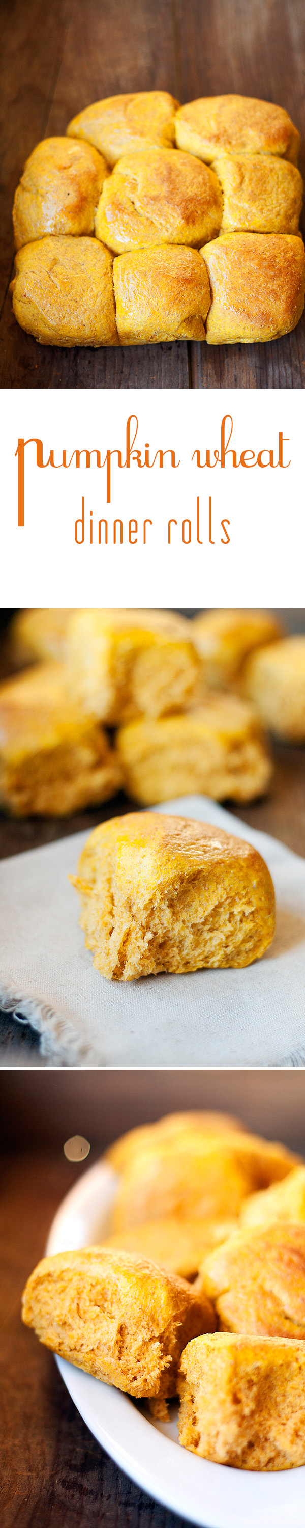 pumpkin dinner rolls