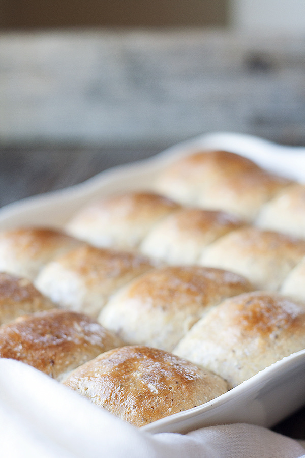  Thanksgiving Recipe | harvest grain dinner rolls 