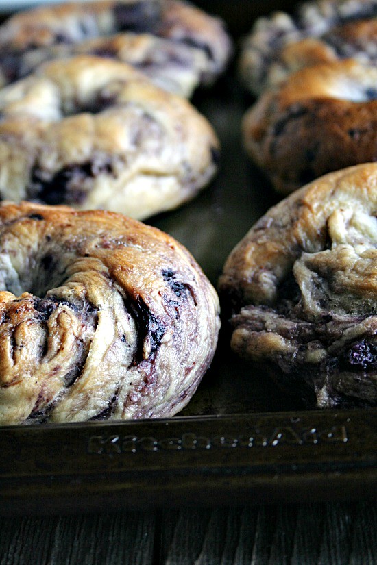 NY style Blueberry Bagels | heathersfrenchpress.com
