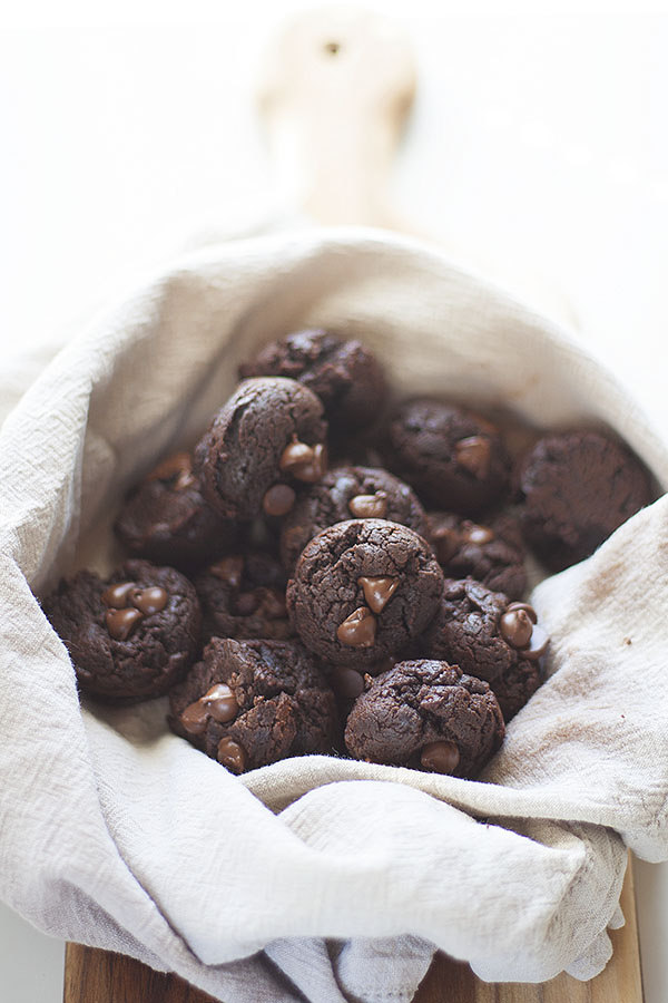 chocolate blender muffins