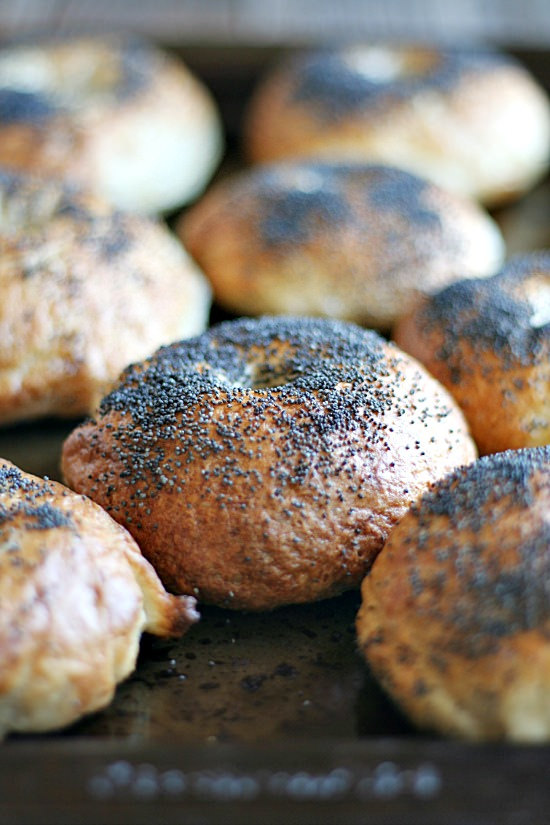 Lemon Poppy Seed Bagels