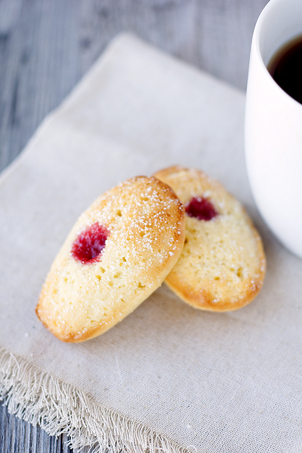 meyer lemon madeleines