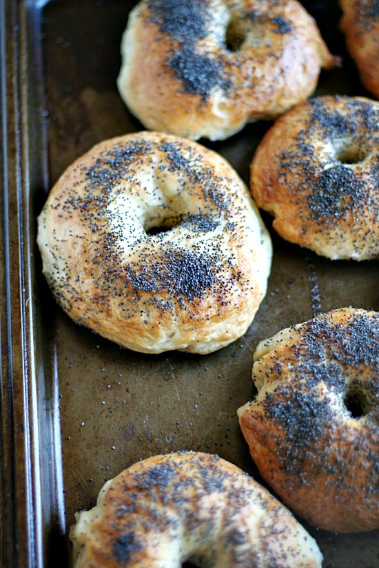 Lemon Poppy Seed bagels