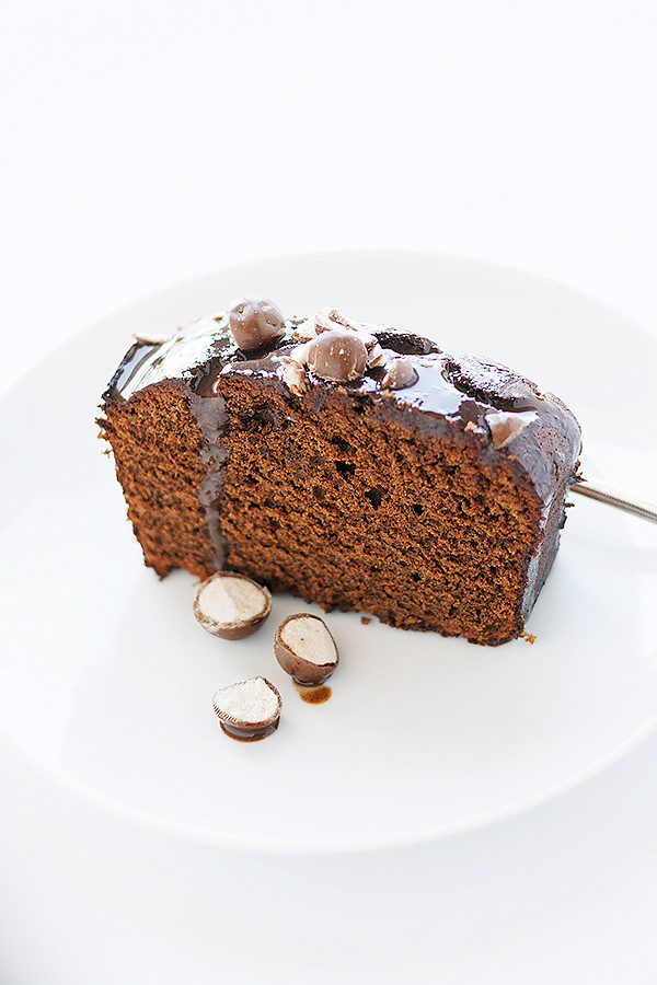 malted chocolate cake. easy dessert recipe | playspinboss.gb.net