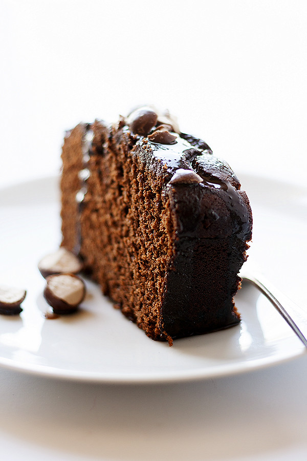 easy dessert recipe malted chocolate cake | playspinboss.gb.net