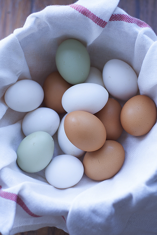 eggs