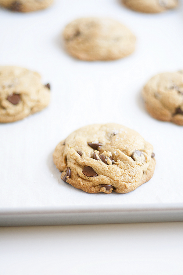 chocolate chip cookies