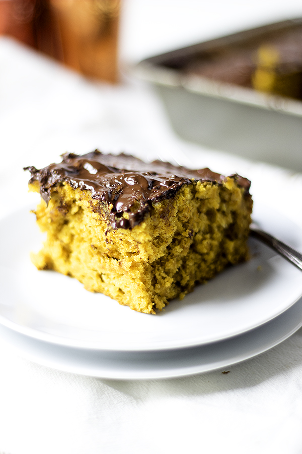 pumpkin chocolate chip snack cake