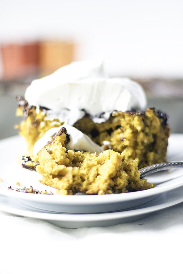 pumpkin chocolate chip snack cake