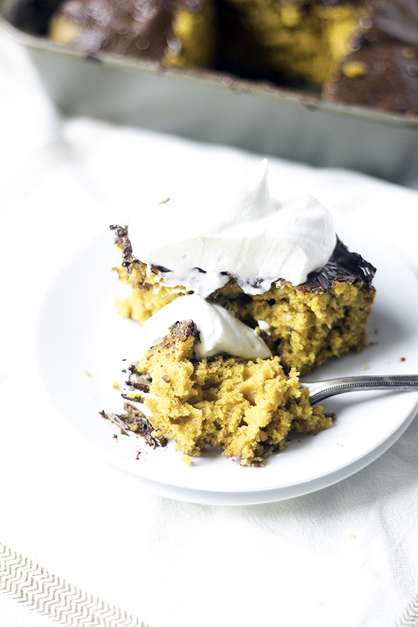 pumpkin chocolate chip snack cake