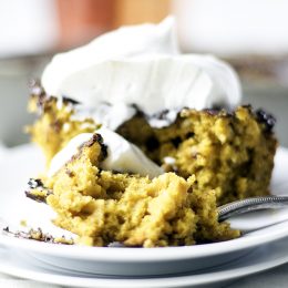 pumpkin chocolate chip snack cake