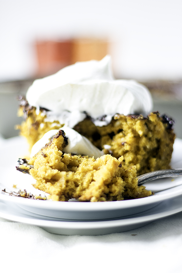 pumpkin chocolate chip snack cake