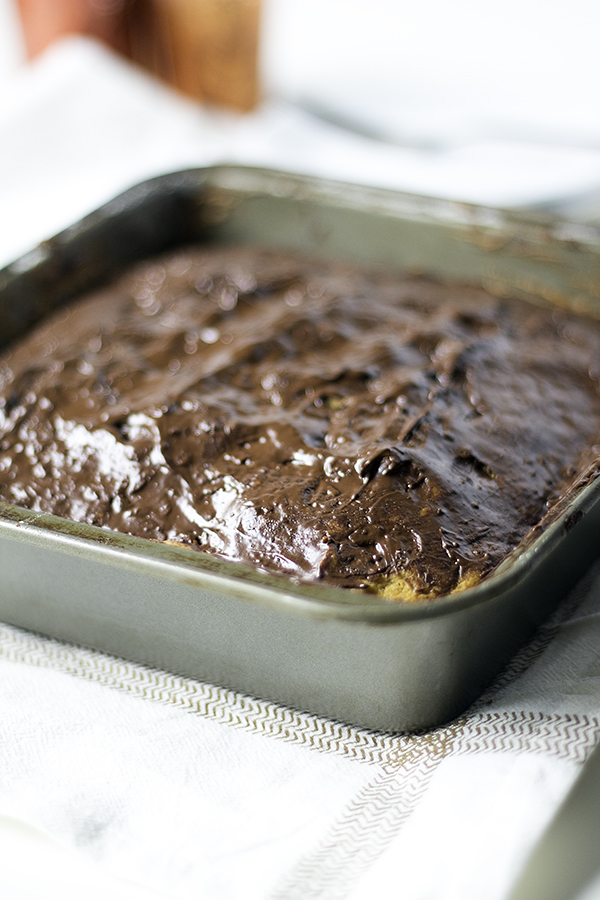 pumpkin chocolate chip snack cake