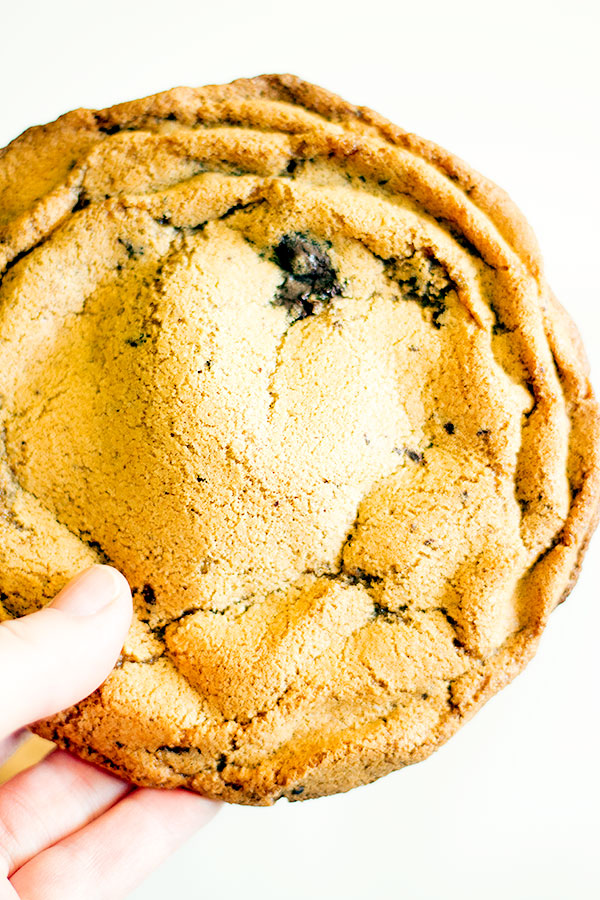 olive oil dark chocolate chunk cookies