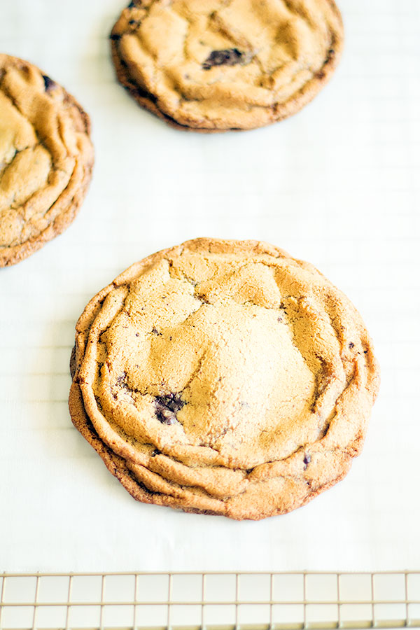 olive oil dark chocolate chunk cookies