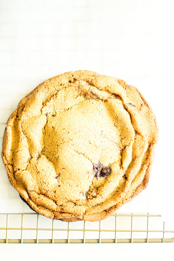 olive oil dark chocolate chunk cookies
