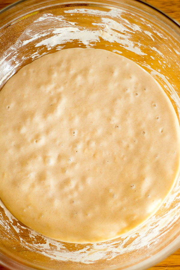 sourdough starter day 3-4