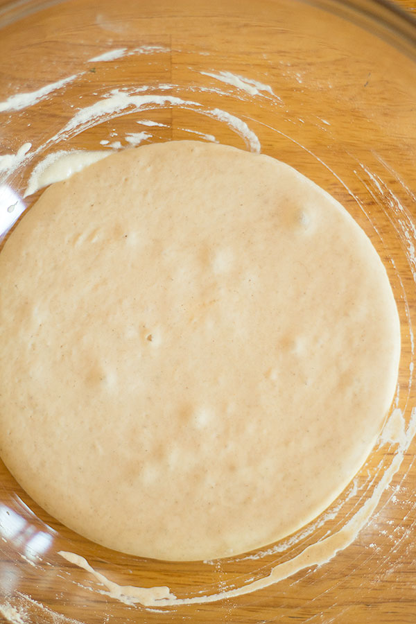 sourdough starter day 2