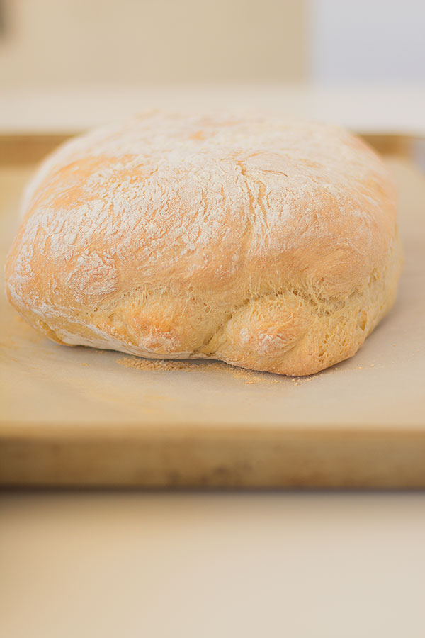 easy ciabatta bread recipe