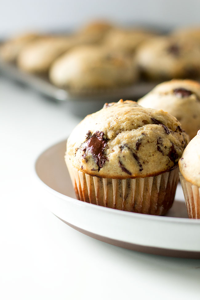 malted banana chocolate muffins