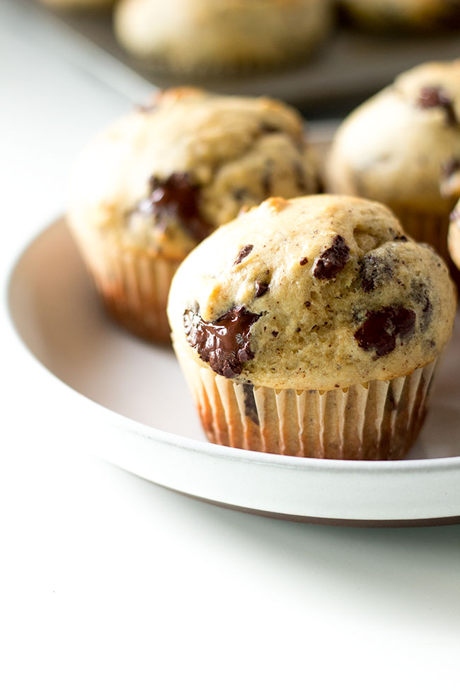 malted banana chocolate muffins