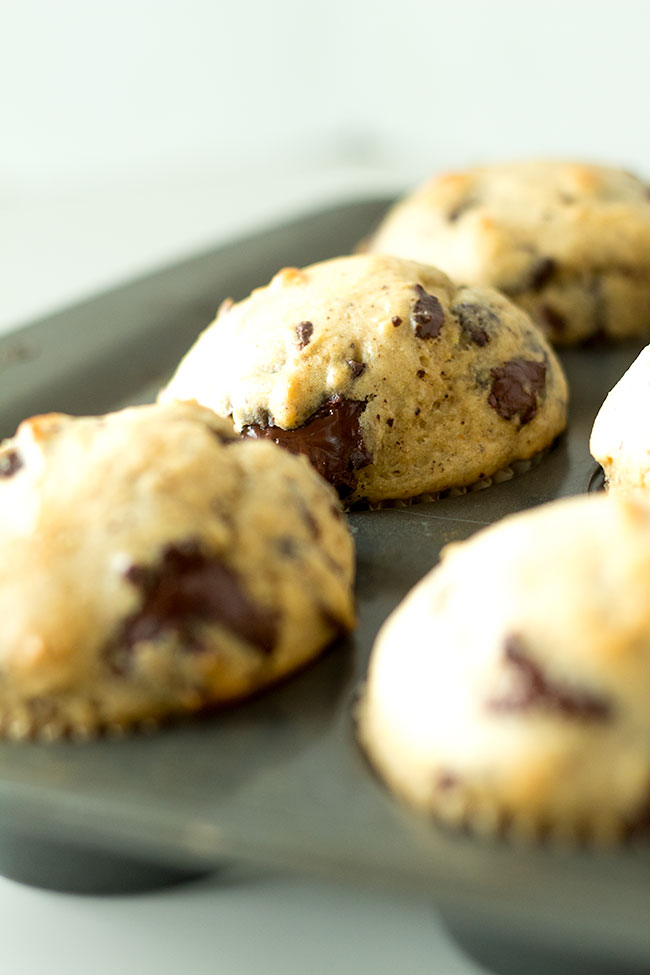 malted banana chocolate muffins