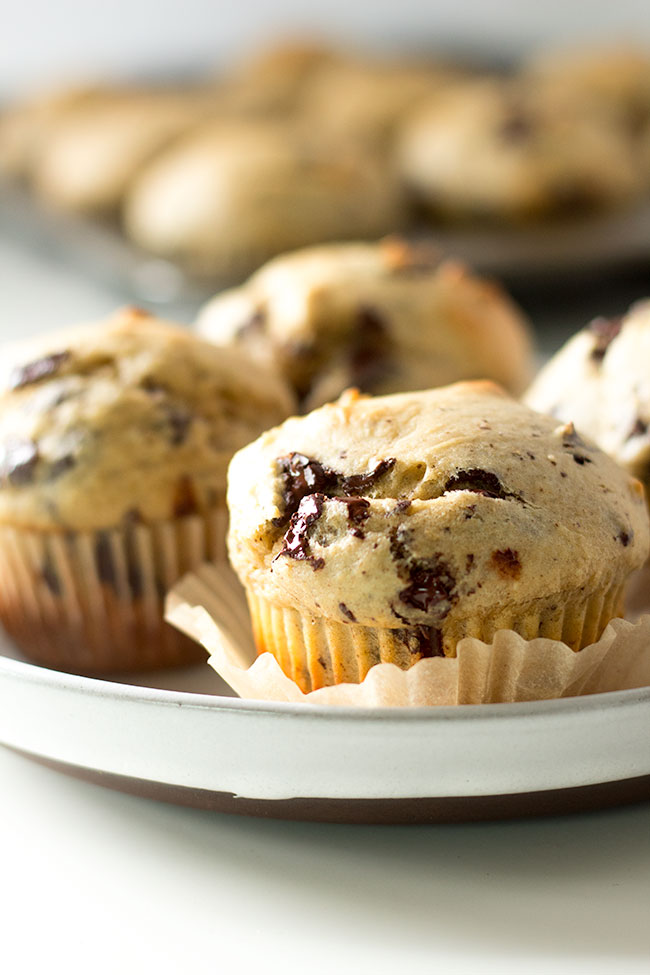malted banana chocolate muffins