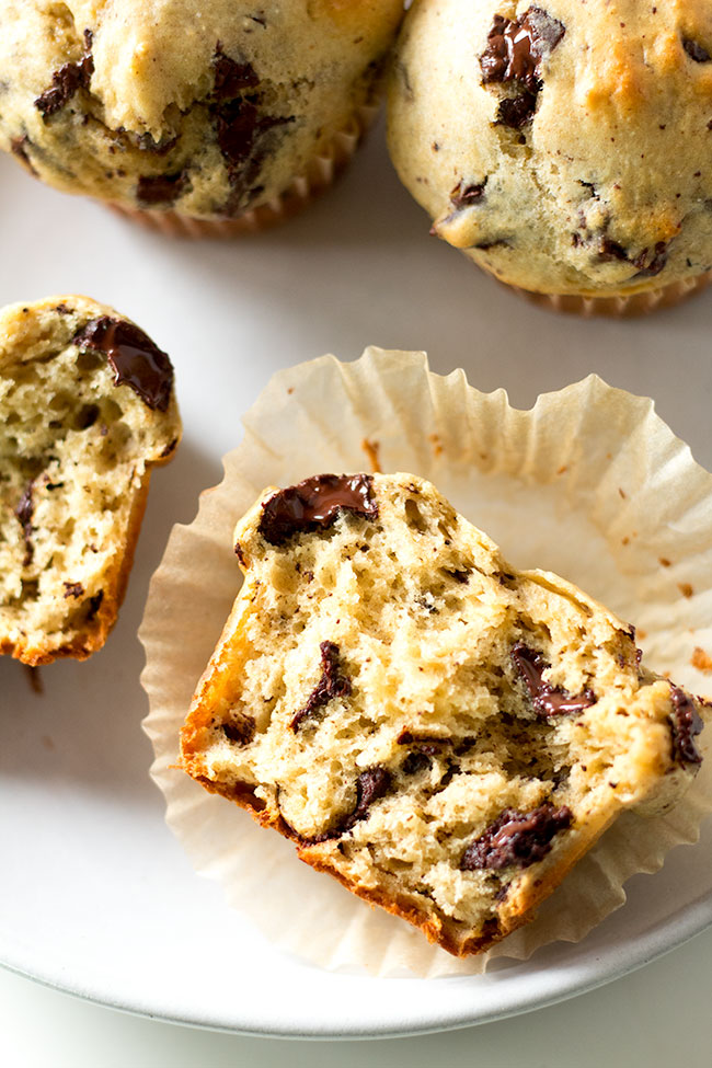 malted banana chocolate muffins. just as delicious as a snack or even dessert as they are for breakfast or brunch