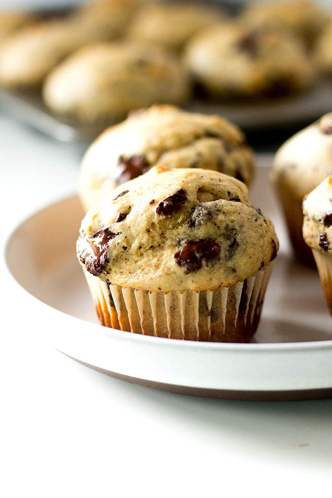 malted banana chocolate muffins