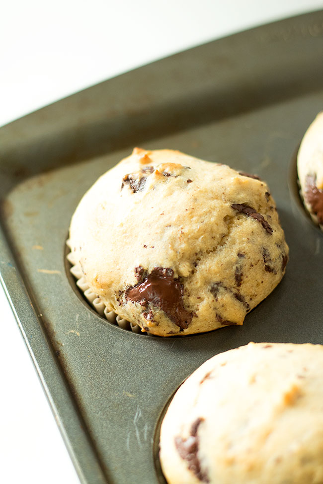 malted banana chocolate muffins