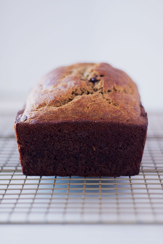 greek yogurt and coconut oil make this loaf incredibly moist.  easy to make and ready for the oven in less than 15 minutes, this healthy chocolate chip banana bread is simply the BEST!!
