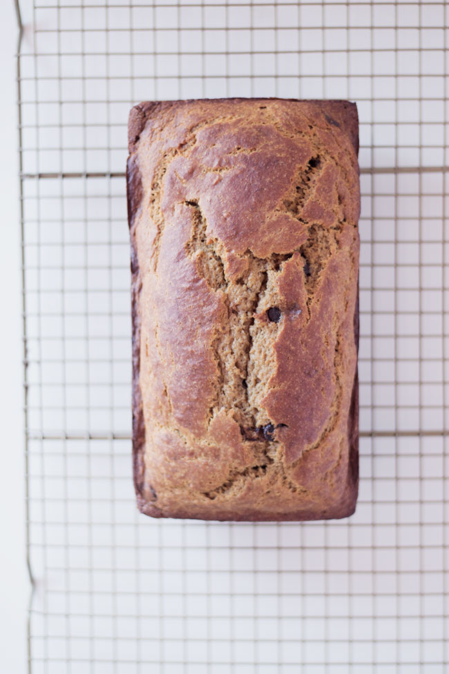 greek yogurt and coconut oil make this loaf incredibly moist.  easy to make and ready for the oven in less than 15 minutes, this healthy chocolate chip banana bread is simply the BEST!!
