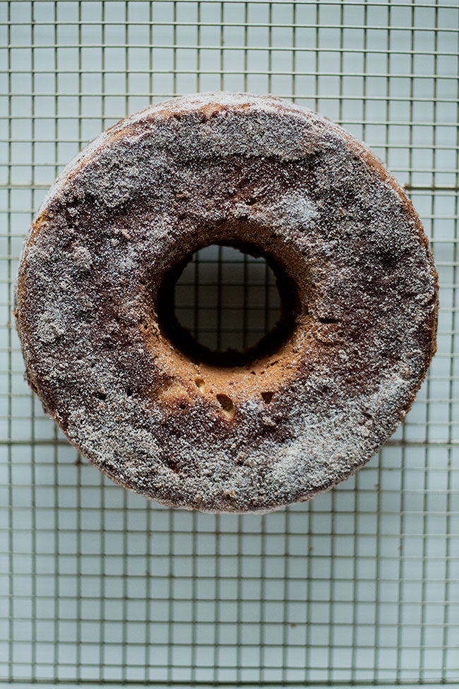 old-fashioned apple cider doughnut cake