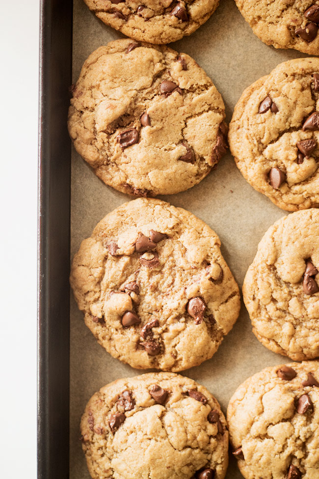 classic vegan chocolate chip cookies