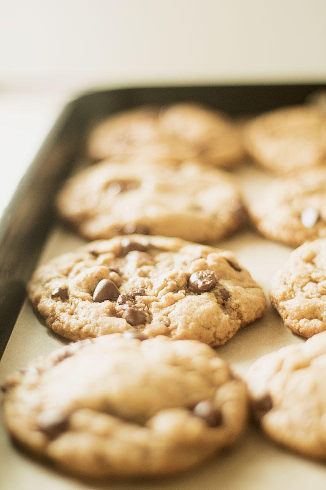 vegan chocolate chip cookies